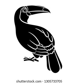 Toucan bird illustration. Vector