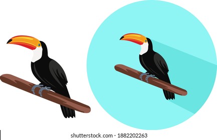 Toucan bird ,illustration, vector on white background.