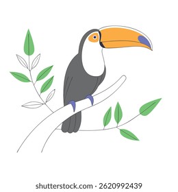 Toucan Bird Illustration Vibrant Tropical Wildlife Artwork