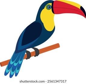 Toucan bird isolated on transparent background.