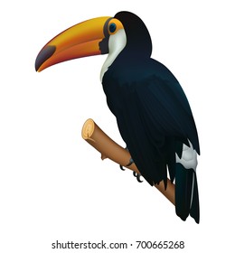 Toucan bird isolated on white. Photo realistic, 3d vector icon