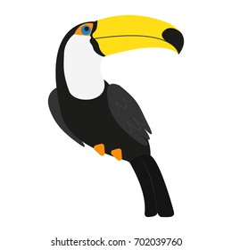 Toucan the bird isolated on the white background