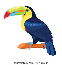 Toucan bird isolated on white background. Vector illustration.
