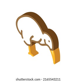 toucan bird isometric icon vector. toucan bird sign. isolated symbol illustration