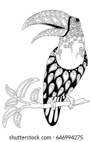 Toucan bird in jungle, zentangle page for adult colouring book