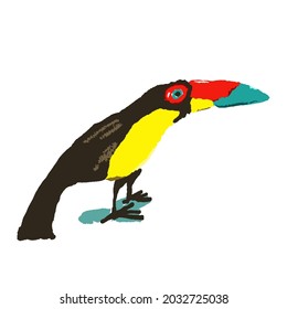 Toucan bird like kid`s hand drawn art on white. Wild black bird with big beak. Bird of tropical forest, jungle of South America. Doodle funny cartoon vector style.