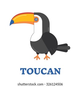 Toucan bird line art icon. Birdwatching popular bird species collection. Flat design toucan colored in bright vivid colors. Childish and cute style. Geometric animal pictogram.