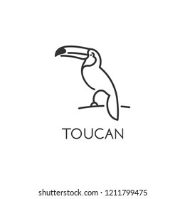 toucan bird logo design template 2