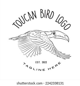 Toucan bird logo, bird realistic sketch, vector illustration