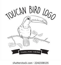 Toucan bird logo, bird realistic sketch, vector illustration