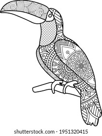 Toucan Bird Mandala Vector And Coloring Page