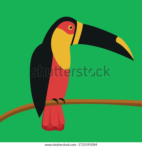 トゥーカン 鳥 うるさい鳥 大きなくちばしを持つ鳥 黒いくちばしを持つトゥーカン のベクター画像素材 ロイヤリティフリー