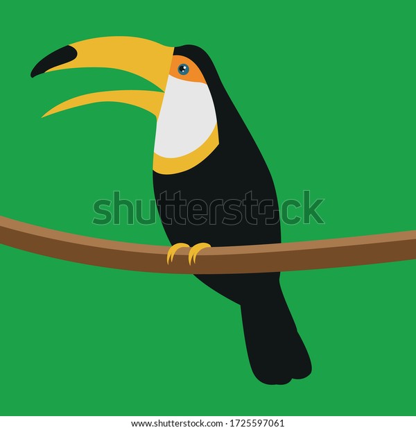 トゥーカン 鳥 うるさい鳥 大きなくちばしを持つ鳥 黄色いくちばしの付いたツーカン のベクター画像素材 ロイヤリティフリー