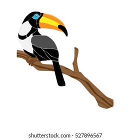 toucan bird on a branch
