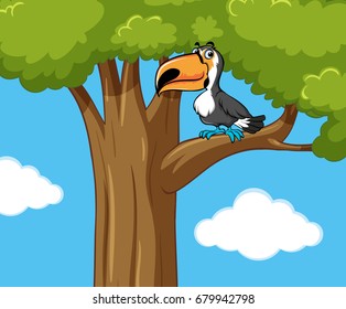Toucan bird on the branch illustration