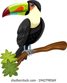 Toucan bird on a branch isolated on white background illustration