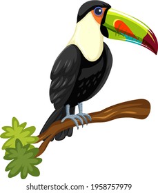 Toucan bird on a branch isolated on white background illustration