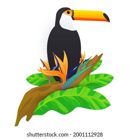 The toucan bird on the branch of tropical tree isolated on white background. Vector illustration of rainforest animals