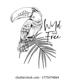 Toucan bird on the palm leaf. Wild and free - lettering quote. T-shirt composition, hand drawn style print. Vector illustration.
