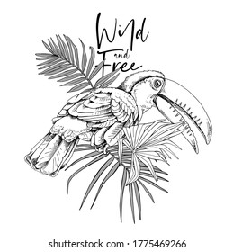 Toucan bird on the palm leaves. Wild and free - lettering quote. T-shirt composition, hand drawn style print. Vector illustration.