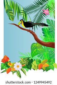 Toucan bird, on tree branch, tropical exotical background, jungle.