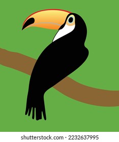 Pájaro tóxico en una rama arbórea	
