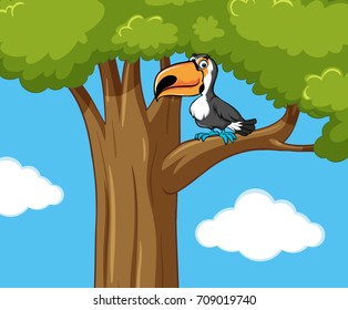 Toucan bird on the tree branch illustration