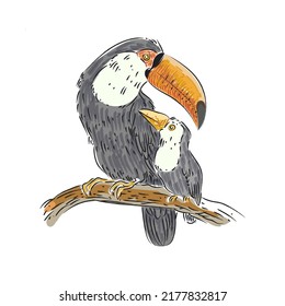 Toucan bird on tree icon, character, mascot. vector illustration.