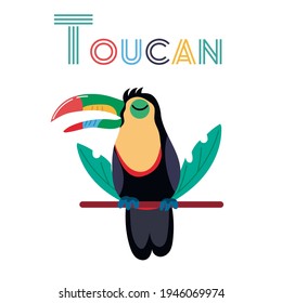 Toucan bird on white background. Flat toucan vector isolated. Wild animal vector illustration.