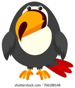 Toucan bird on white background illustration