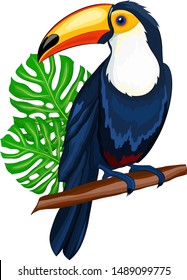 Toucan bird with palm leaves