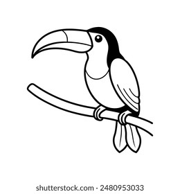 toucan bird perched vector illustration