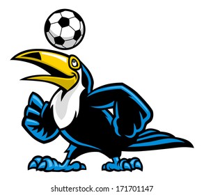 toucan bird play soccer