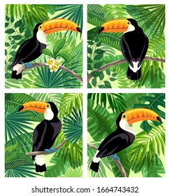 toucan bird in the rainforest. color illustration