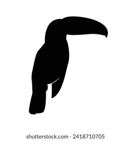 toucan bird shadow on white background