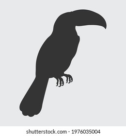 Toucan Bird Silhouette, Toucan Bird