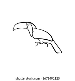 Toucan bird silhouette outline wildlife animal Vector illustration