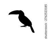 Toucan bird silhouette vector flat illustration design.