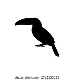 Toucan bird silhouette vector flat illustration design.