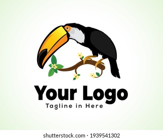 toucan bird sit at branch drawing art illustration logo icon symbol design inspiration