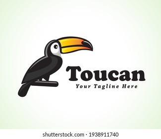 toucan bird sit at branch logo symbol design illustration inspiration