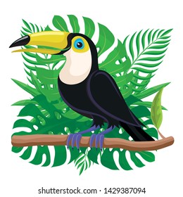Toucan bird sitting on a branch on the background of tropical leaves.