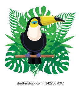 Toucan bird sitting on a branch on the background of tropical leaves.