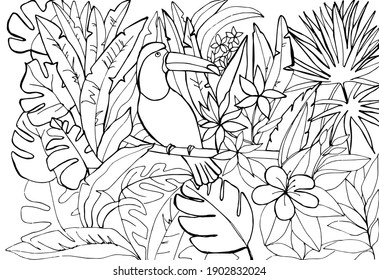 A toucan bird sitting on a branch in a tropical forest among palm trees, lianas and  leaves, flowers. A freehand sketch for an anti-stress coloring book with doodle elements. 