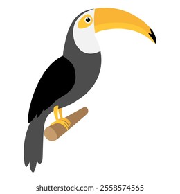 Toucan bird sitting on branch. Vector illustration isolated on white.