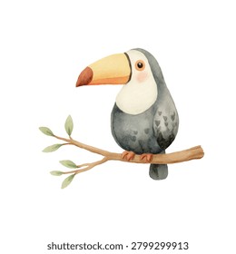 Toucan bird sitting on a branch