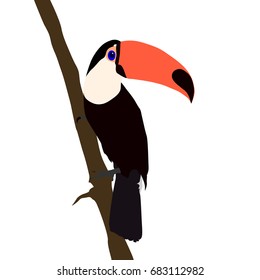 Toucan bird  sitting  on branch on white background. Also known as the common toucan or toucan Toco. Silhouette of toucan bird. Vector illustration. EPS 8