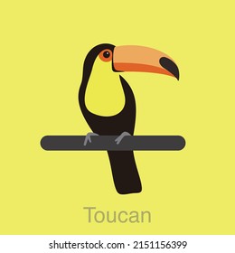 Toucan bird standing on a branch