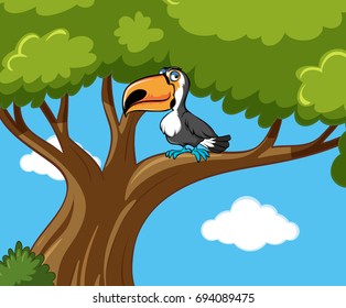 Toucan bird stands on branch illustration