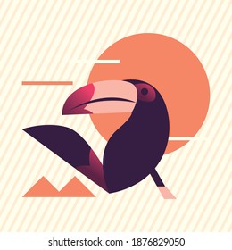 toucan bird with sun design, Animal feather predator wildlife fight beak natural and latin america theme Vector illustration